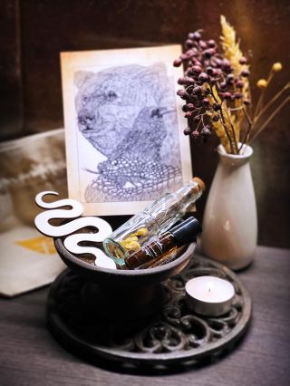 Podzimní rituální balíček je opět bohatý na praktické ingredience magie. Najdete v něm pro podzim již tradiční čarodějnou...